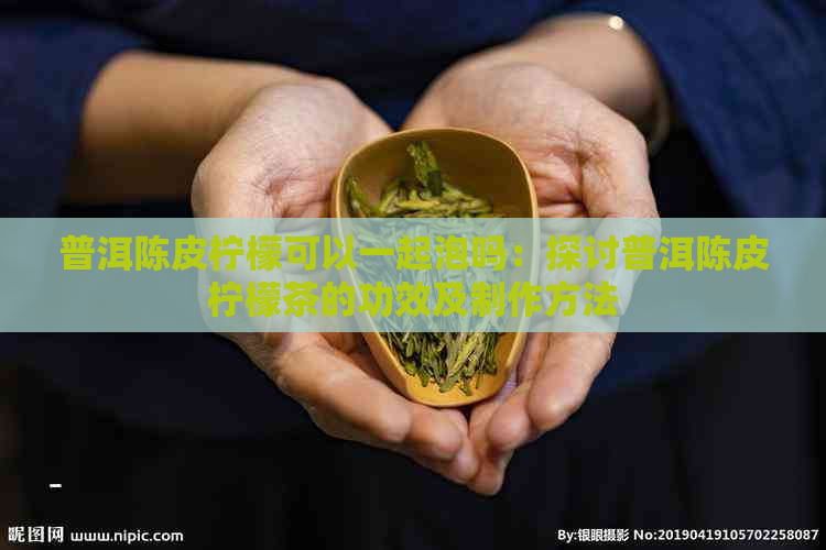 普洱陈皮柠檬可以一起泡吗：探讨普洱陈皮柠檬茶的功效及制作方法