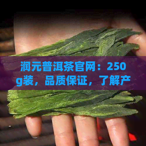 润元普洱茶官网：250g装，品质保证，了解产品详细信息及购买途径