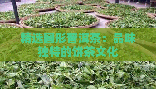 精选圆形普洱茶：品味独特的饼茶文化