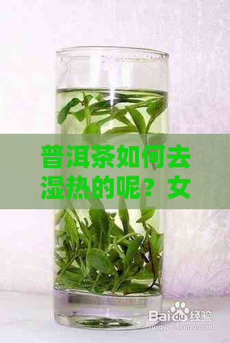 普洱茶如何去湿热的呢？女性喝多少合适？有什么推荐的吗？