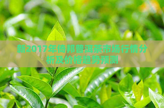 新2017年倚邦普洱茶市场行情分析及价格趋势预测