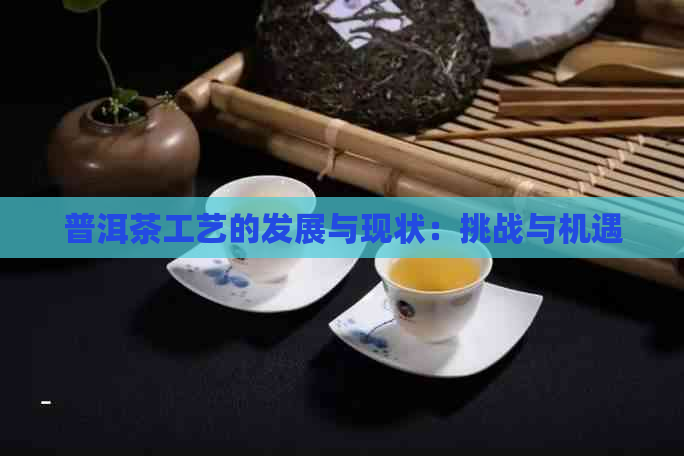 普洱茶工艺的发展与现状：挑战与机遇