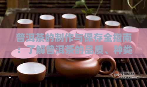 普洱茶的制作与保存全指南：了解普洱茶的品质、种类与正确存放方法