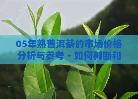 05年熟普洱茶的市场价格分析与参考 - 如何判断和购买？