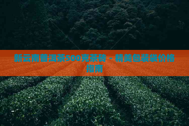 新云南普洱茶500克茶砖 - 精美包装袋价格指南