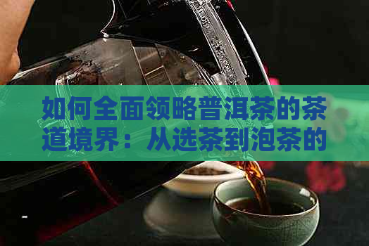 如何全面领略普洱茶的茶道境界：从选茶到泡茶的全方位指南