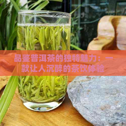 品鉴普洱茶的独特魅力：一款让人沉醉的茶饮体验