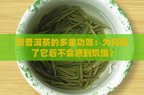 新普洱茶的多重功效：为何喝了它后不会感到饥饿？