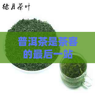 普洱茶是茶客的最后一站