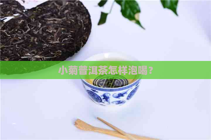 小菊普洱茶怎样泡喝？