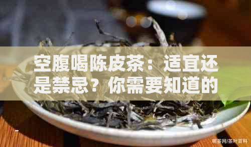 空腹喝陈皮茶：适宜还是禁忌？你需要知道的一切