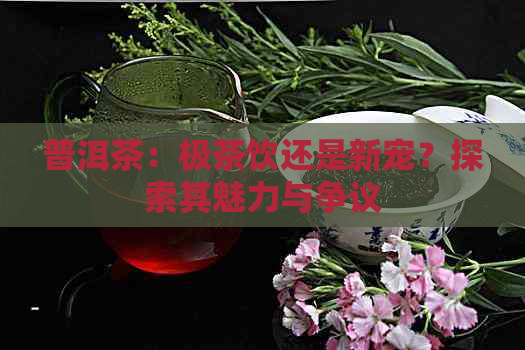 普洱茶：极茶饮还是新宠？探索其魅力与争议