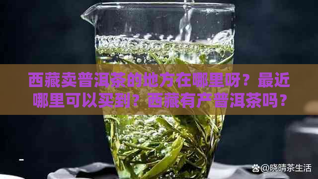      卖普洱茶的地方在哪里呀？最近哪里可以买到？     有产普洱茶吗？