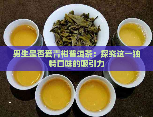 男生是否爱青柑普洱茶：探究这一独特口味的吸引力