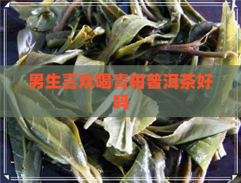 男生喜欢喝青柑普洱茶好吗