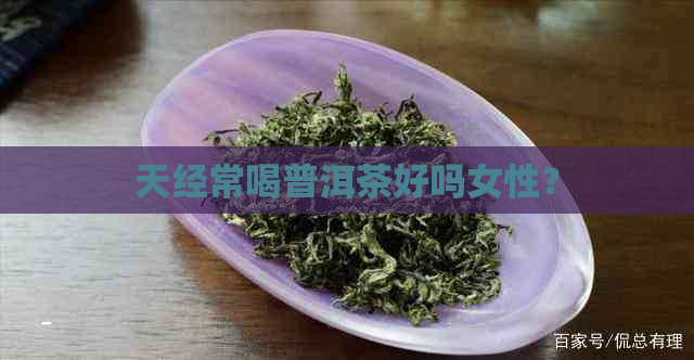 天经常喝普洱茶好吗女性？