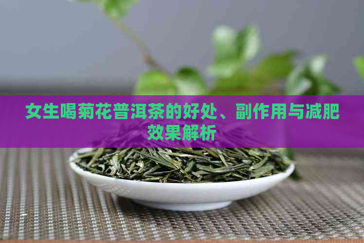 女生喝菊花普洱茶的好处、副作用与减肥效果解析