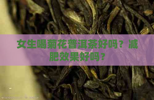 女生喝菊花普洱茶好吗？减肥效果好吗？