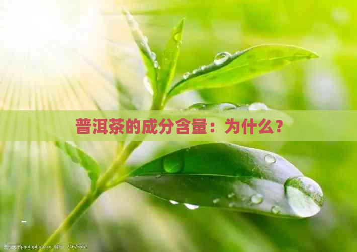 普洱茶的成分含量：为什么？