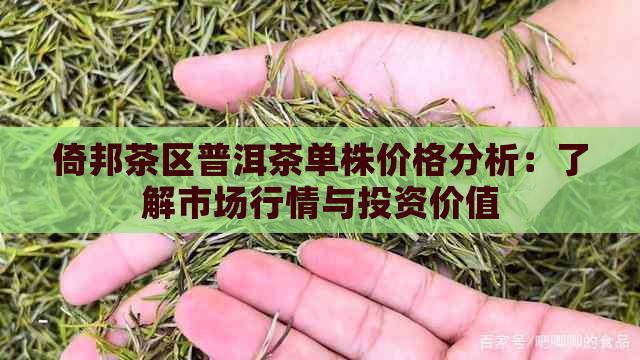 倚邦茶区普洱茶单株价格分析：了解市场行情与投资价值