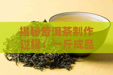 揭秘普洱茶制作过程：一斤成品所需的茶青重量解析