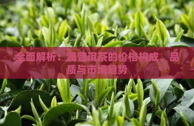 全面解析：润普洱茶的价格构成、品质与市场趋势