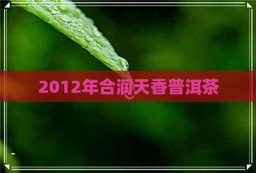 2012年合润天香普洱茶