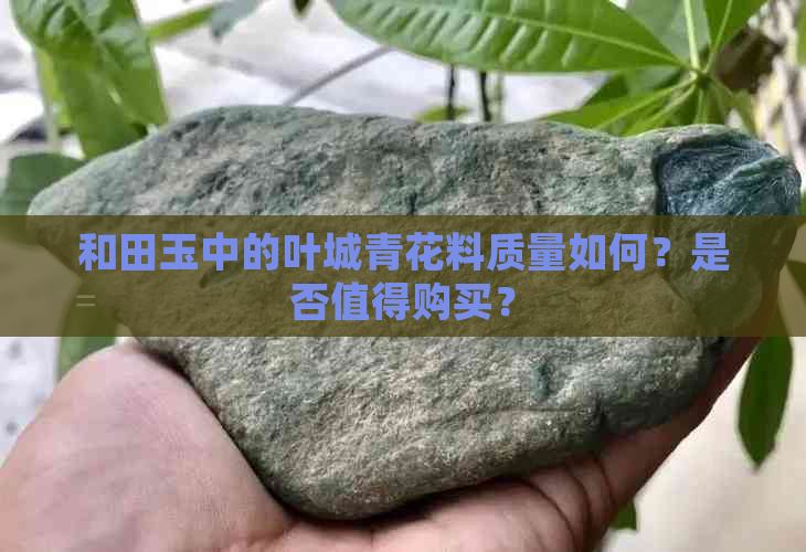 和田玉中的叶城青花料质量如何？是否值得购买？