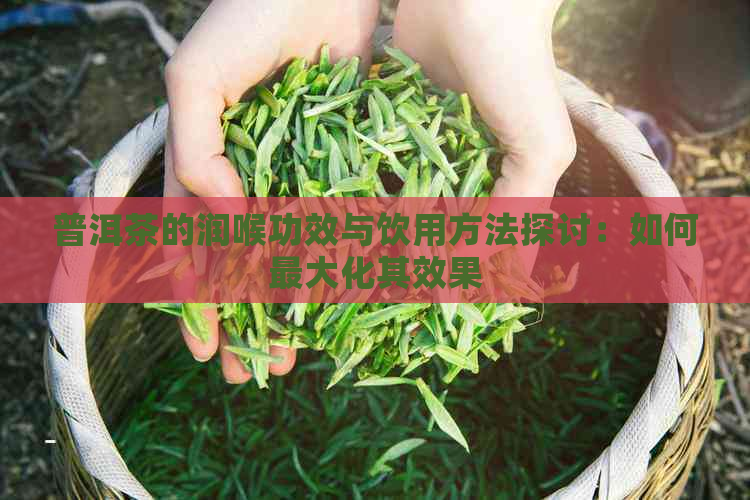 普洱茶的润喉功效与饮用方法探讨：如何更大化其效果