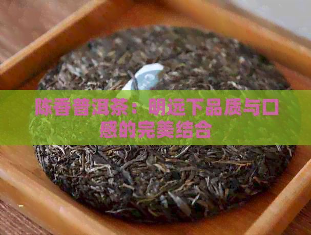 陈香普洱茶：明远下品质与口感的完美结合