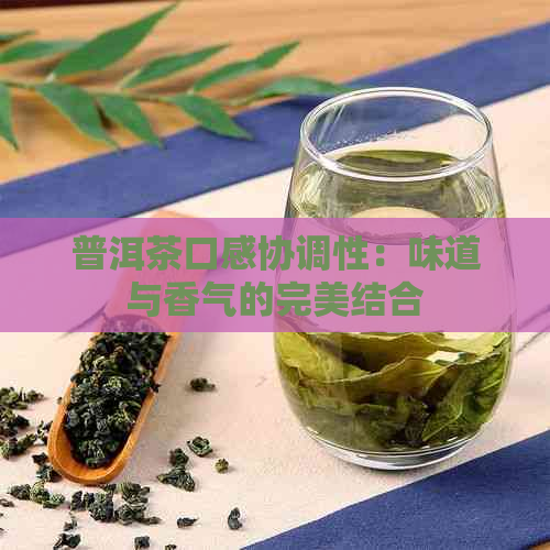 普洱茶口感协调性：味道与香气的完美结合