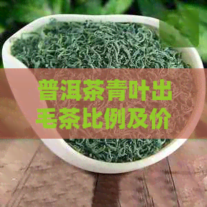 普洱茶青叶出毛茶比例及价格：多少斤青叶出一斤毛茶？