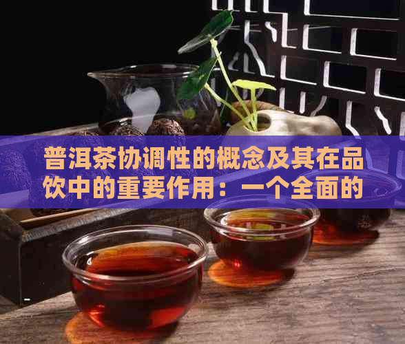 普洱茶协调性的概念及其在品饮中的重要作用：一个全面的解析