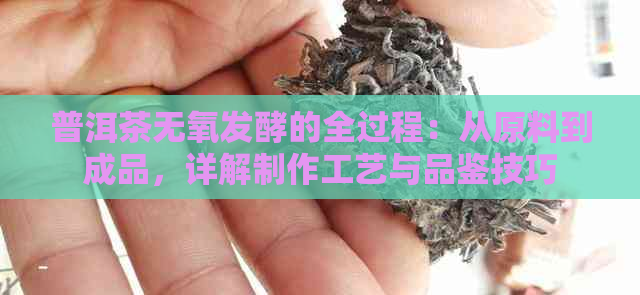 普洱茶无氧发酵的全过程：从原料到成品，详解制作工艺与品鉴技巧