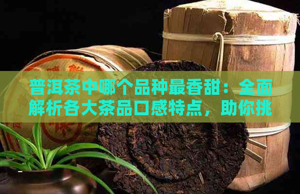 普洱茶中哪个品种最香甜：全面解析各大茶品口感特点，助你挑选最适合的茶叶