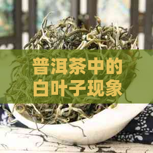 普洱茶中的白叶子现象：原因、影响与品质探讨