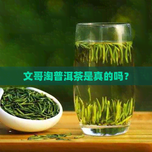 文哥淘普洱茶是真的吗？