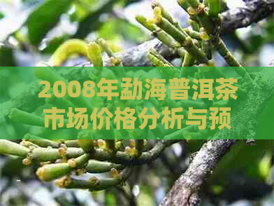 2008年勐海普洱茶市场价格分析与预测：产地，品质，收藏价值等多方面探讨