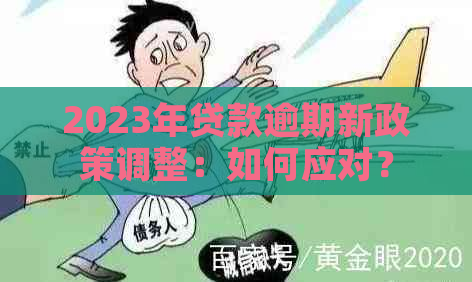 2023年贷款逾期新政策调整：如何应对？