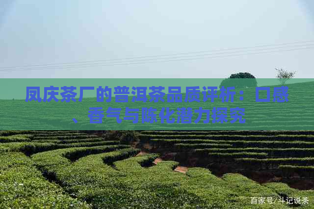 凤庆茶厂的普洱茶品质评析：口感、香气与陈化潜力探究