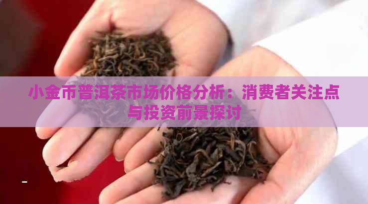 小金币普洱茶市场价格分析：消费者关注点与投资前景探讨