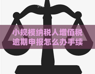 小规模纳税人增值税逾期申报怎么办手续，处理流程与处罚标准