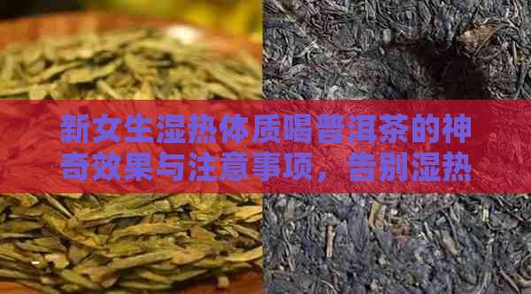 新女生湿热体质喝普洱茶的神奇效果与注意事项，告别湿热困扰！