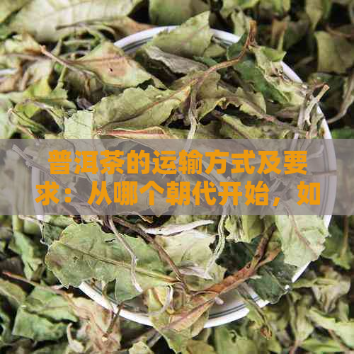 普洱茶的运输方式及要求：从哪个朝代开始，如何保证品质？