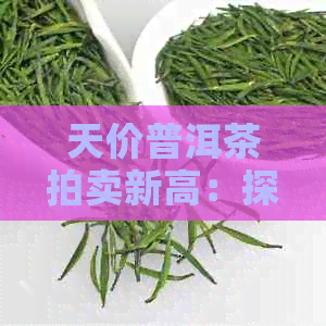 天价普洱茶拍卖新高：探寻其背后的故事与影响