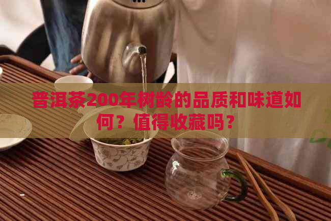 普洱茶200年树龄的品质和味道如何？值得收藏吗？