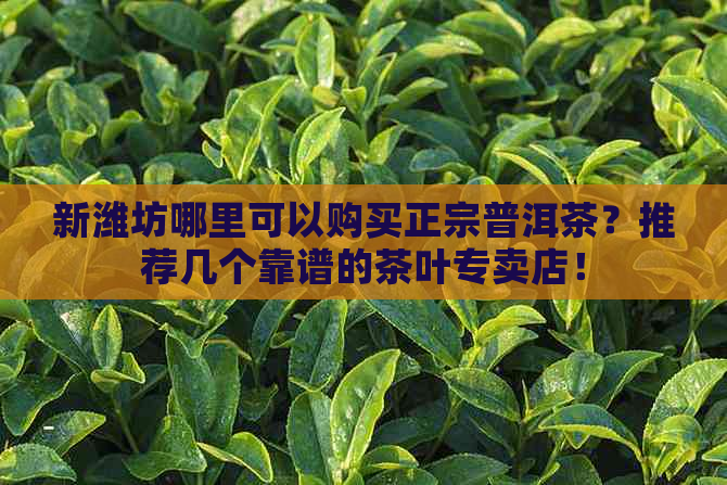 新潍坊哪里可以购买正宗普洱茶？推荐几个靠谱的茶叶专卖店！