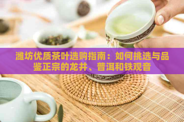 潍坊优质茶叶选购指南：如何挑选与品鉴正宗的龙井、普洱和铁观音