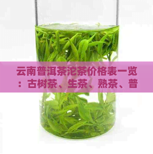 云南普洱茶沱茶价格表一览：古树茶、生茶、熟茶、普洱散茶等详细信息