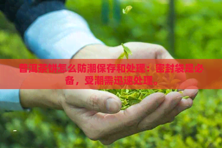 普洱茶饼怎么防潮保存和处理：密封袋是必备，受潮需迅速处理。